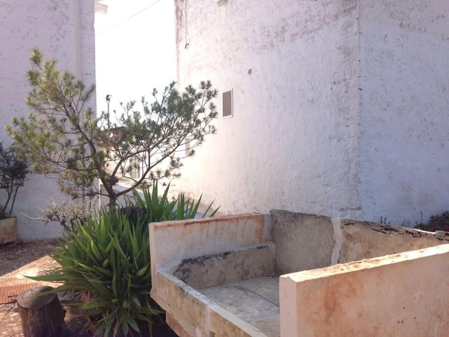 Casa Stella Nell'Aia Villa Cisternino Exterior photo